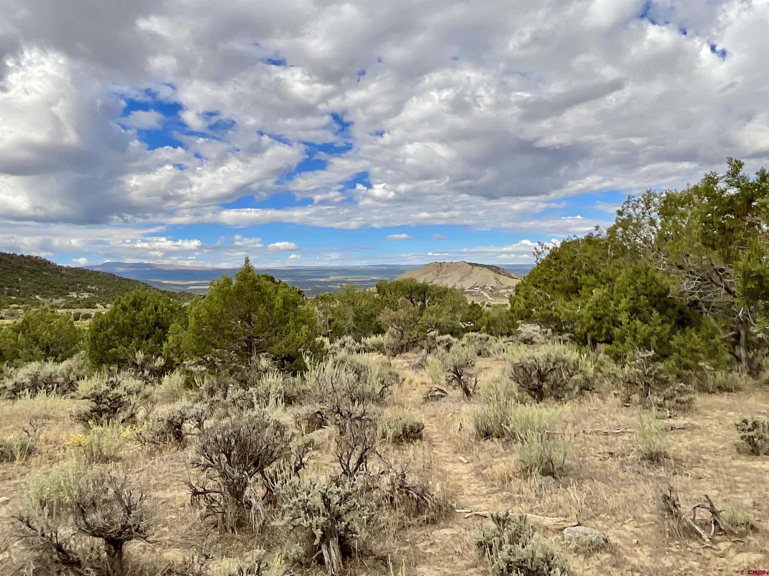 Tbd Lot 22 7250th Road Montrose, CO 81403 - Photo 15 of 25 a view of a bunch of trees