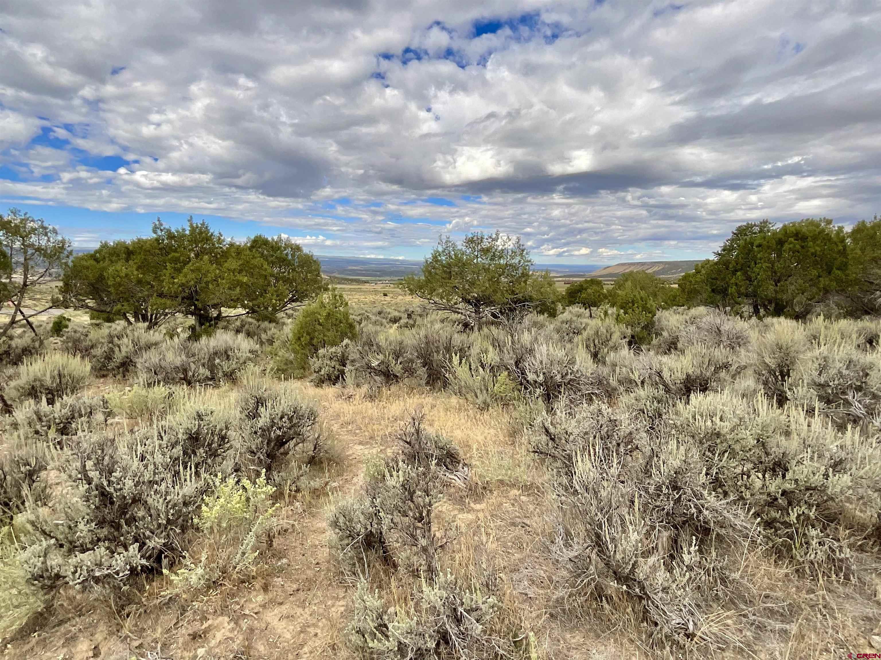 Tbd Lot 22 7250th Road Montrose, CO 81403 - Photo 20 of 25 a view of a bunch of trees