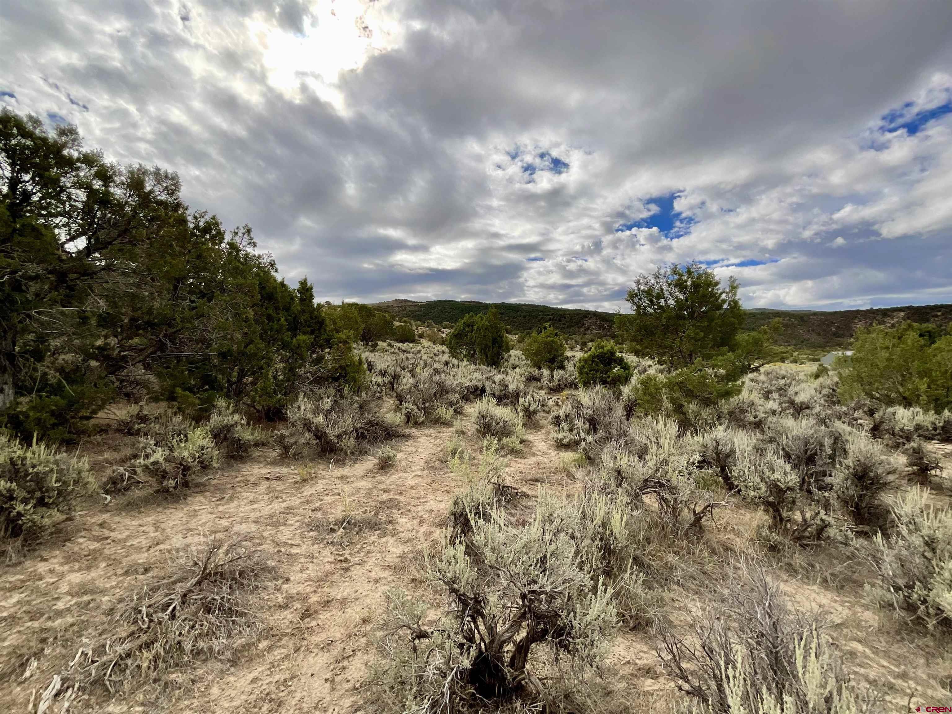 Tbd Lot 22 7250th Road Montrose, CO 81403 - Photo 5 of 25 a view of a yard with wooden fence