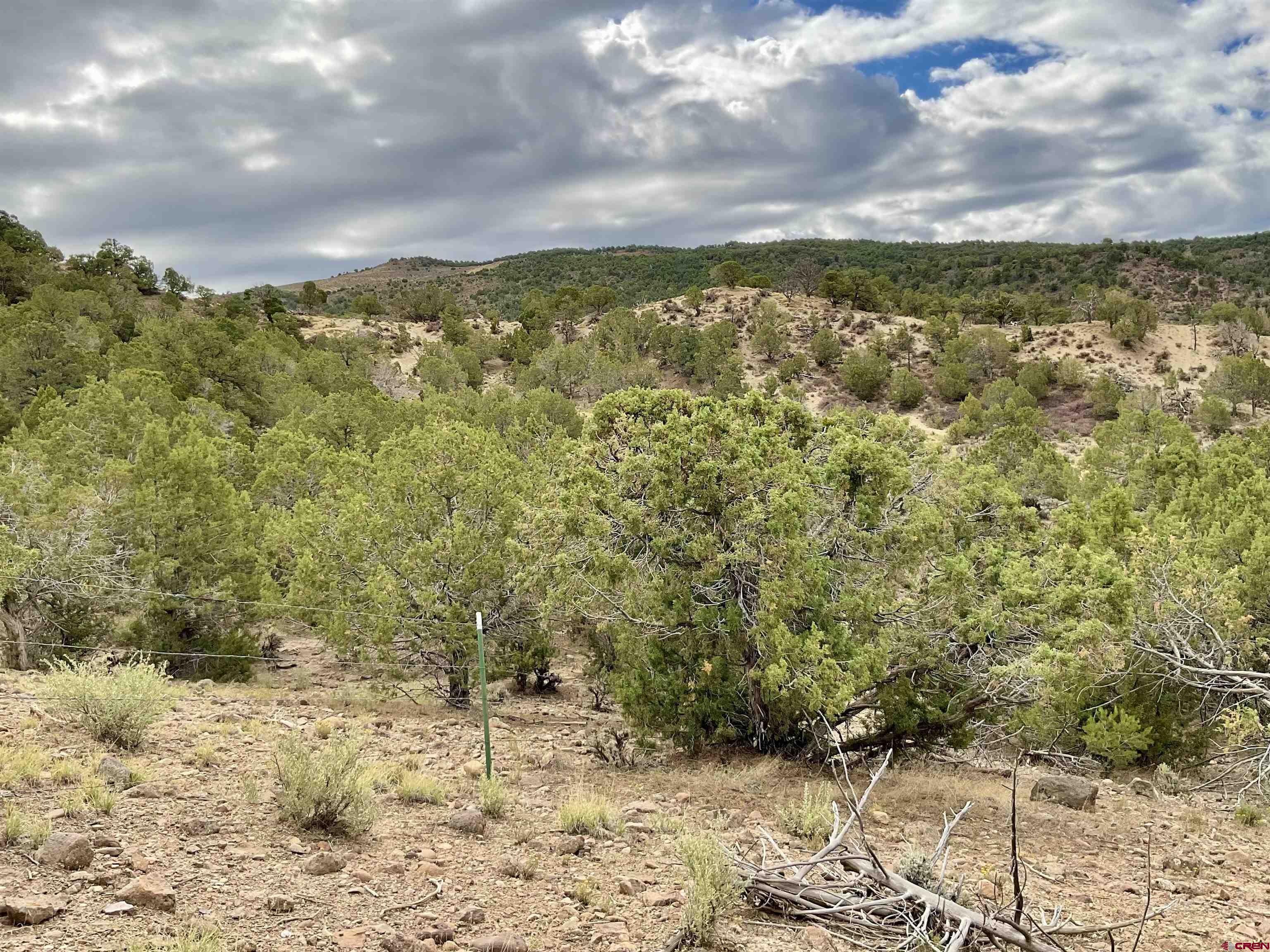 Tbd Lot 22 7250th Road Montrose, CO 81403 - Photo 7 of 25 a view of an outdoor space and a yard