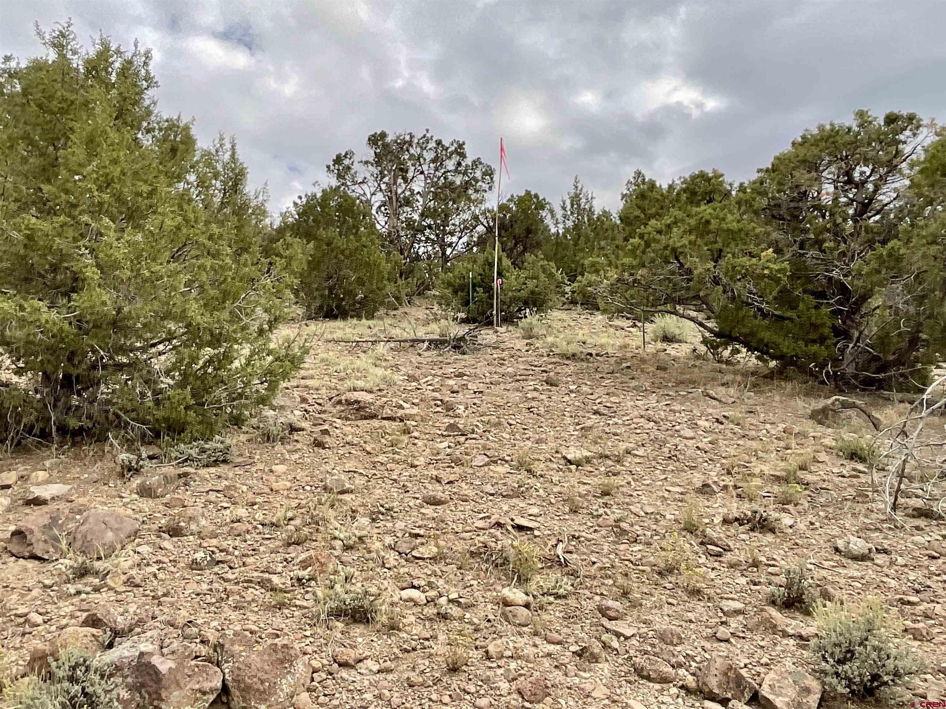 Tbd Lot 22 7250th Road Montrose, CO 81403 - Photo 8 of 25 a view of a yard with a tree