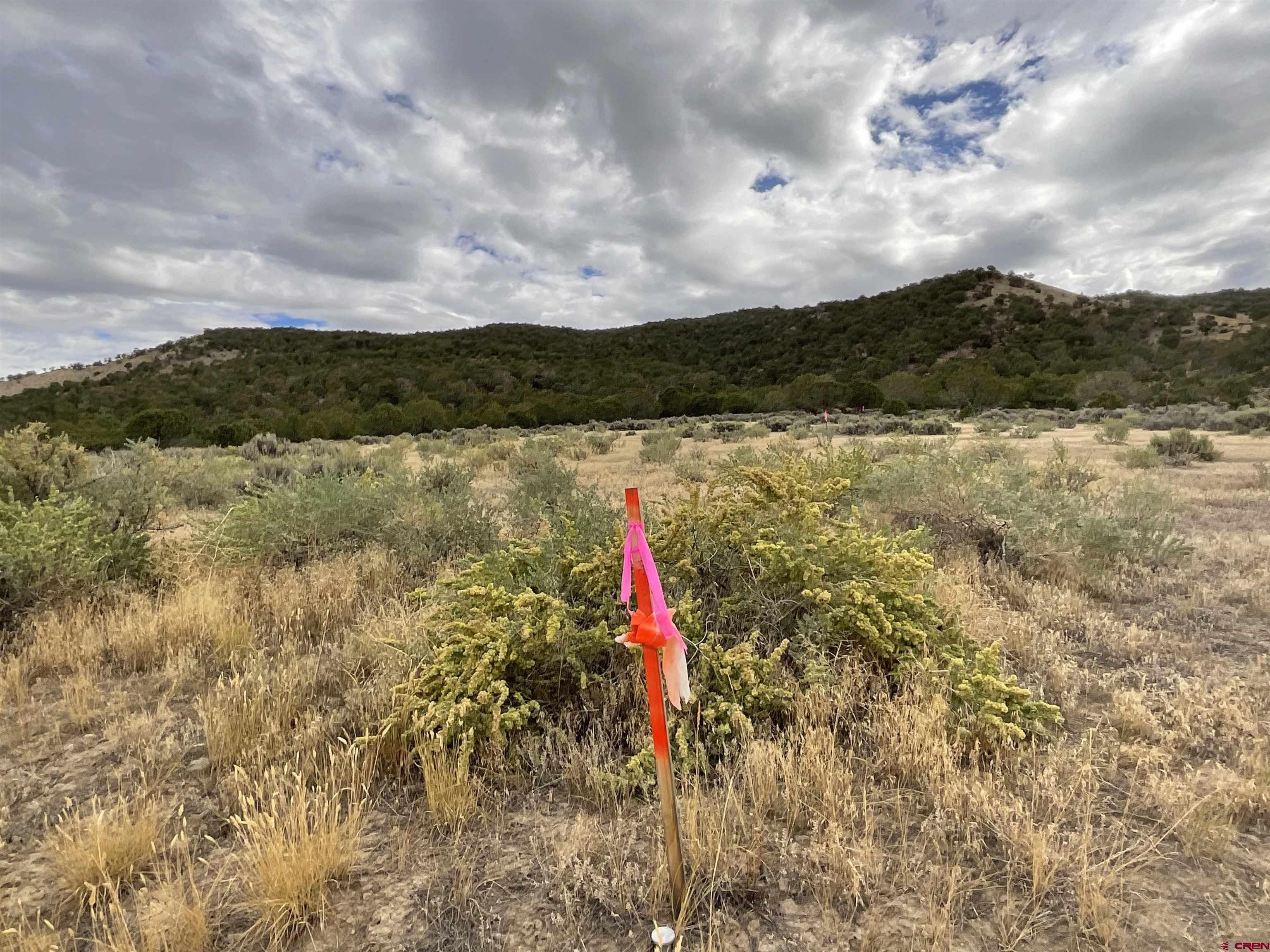 Tbd Lot 22 7250th Road Montrose, CO 81403 - Photo 10 of 25 a view of a lake with a big yard