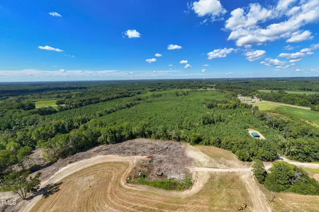 a view of a pathway both side of grassy field with shrub