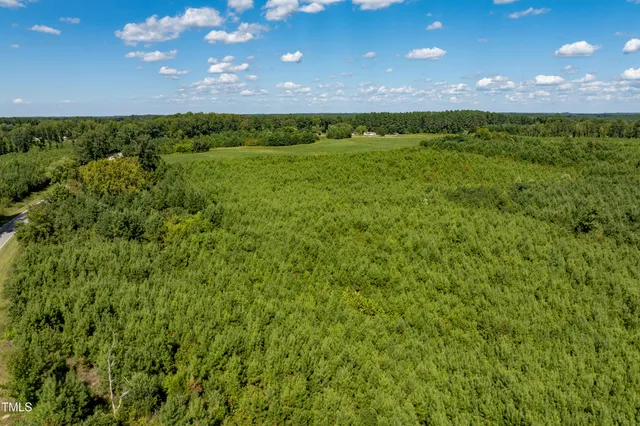 a view of a green yard