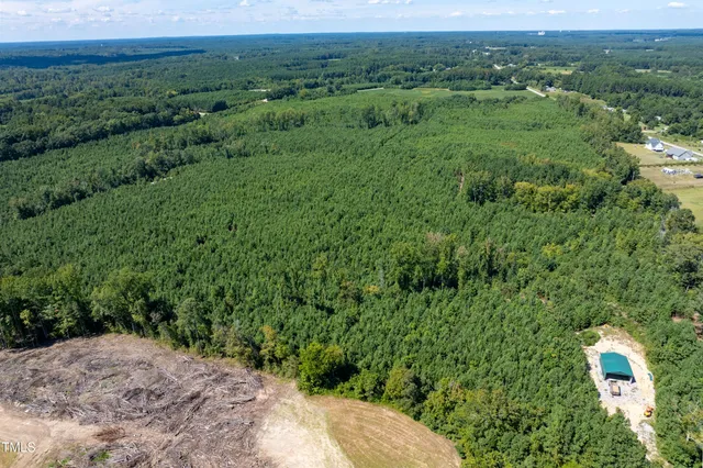 a view of a green field near a forest