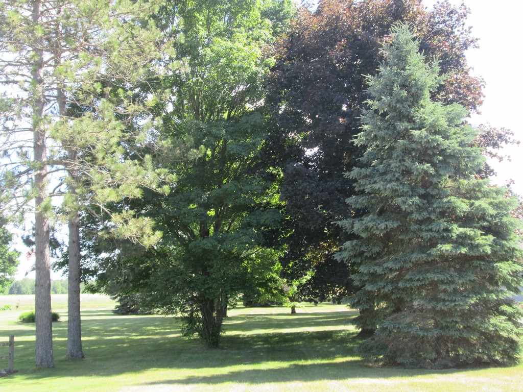 3766 Spencer Road Southeast Kalkaska, MI 49646 - Photo 15 of 32 1835246-14.JPG
