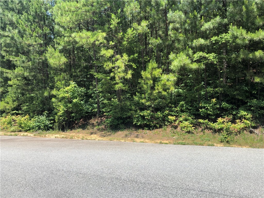 E25 Pine Ridge Way Salem, SC 29676 - Photo 4 of 11 Gallery Image 4