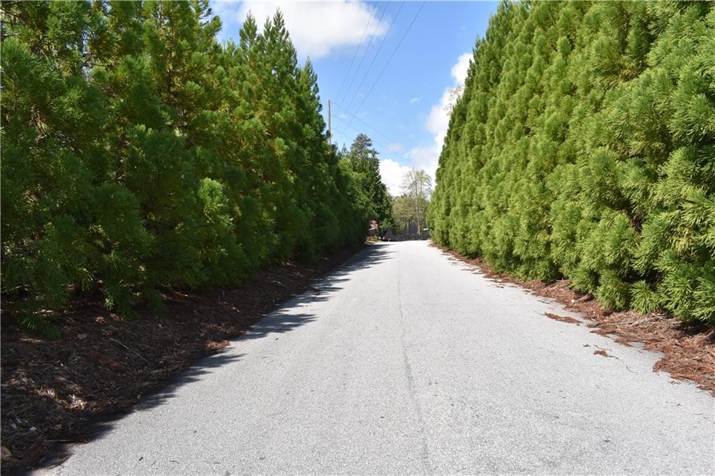 E25 Pine Ridge Way Salem, SC 29676 - Photo 8 of 11 Gallery Image 8