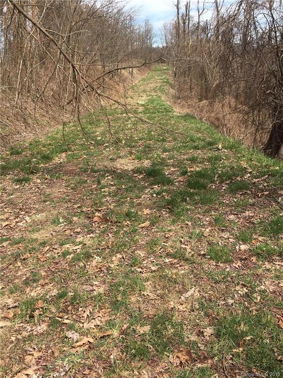 Tbd Wolf Pen Road, Unit 77CW Old Fort, NC 28762 - Photo 2 of 10