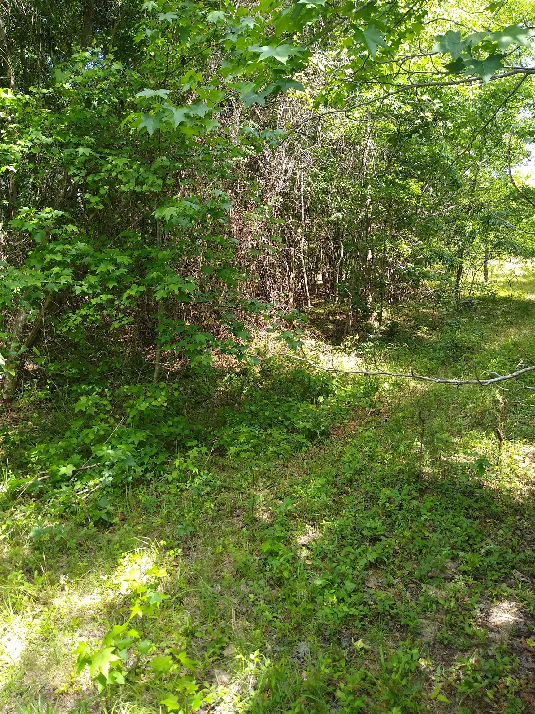 61-a 030 Highway Adrian, GA 31002 - Photo 2 of 6