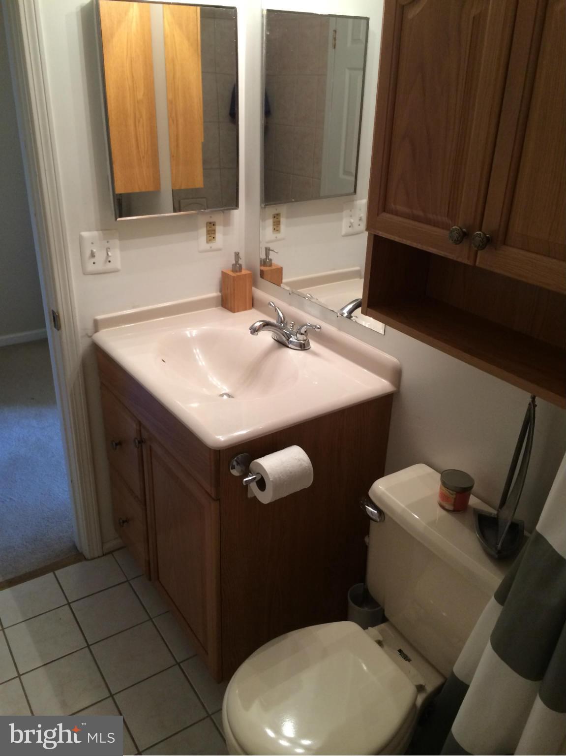 1961 Belmont Ridge Court Reston, VA 20191 - Photo 16 of 18 Bath