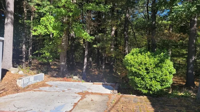 a view of a backyard with tree
