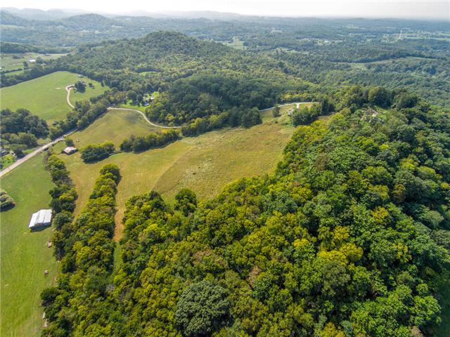6735 Cross Keys Road College Grove, TN 37046 - Photo 3 of 20 Gallery Image 3