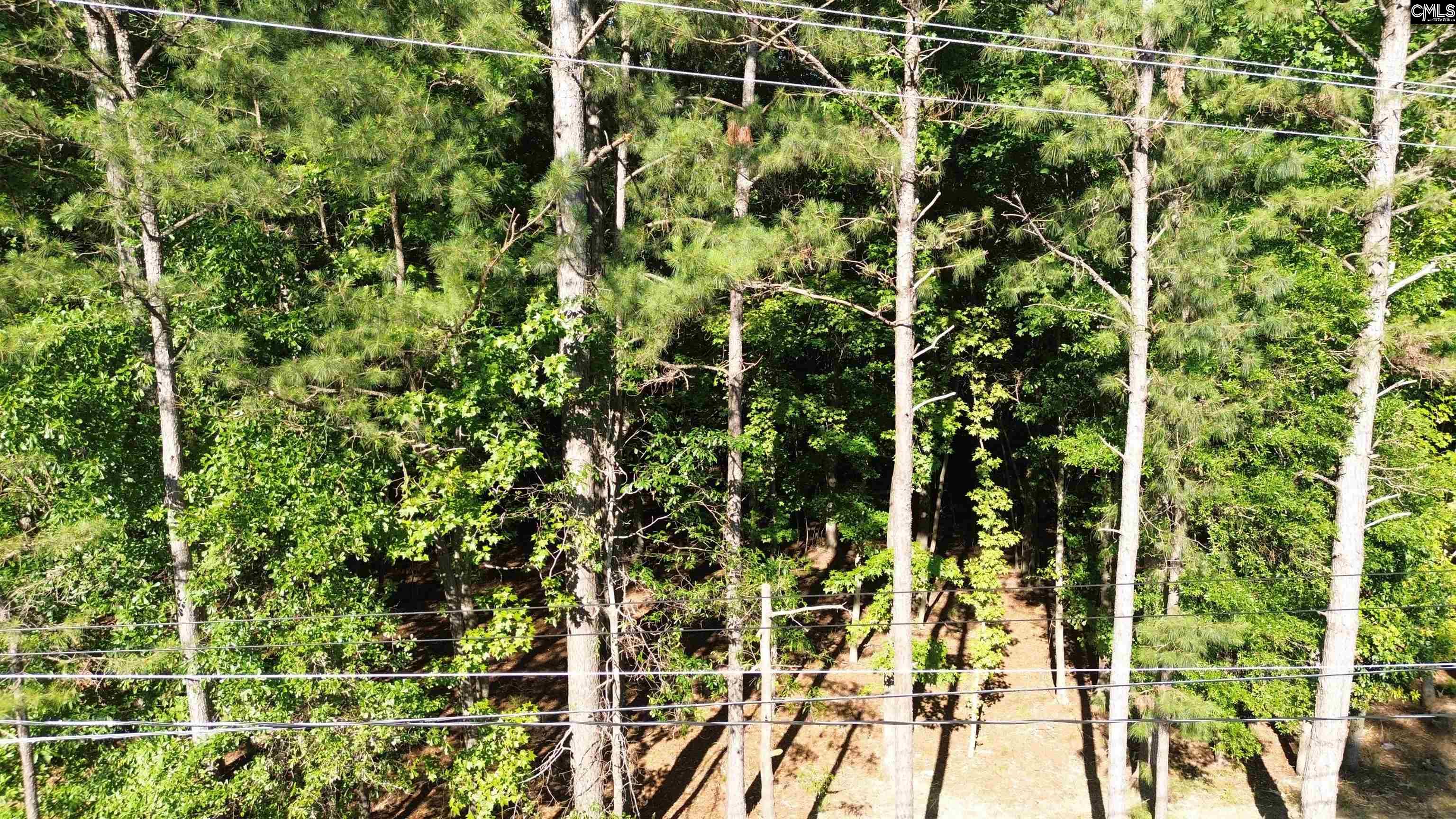 60 Circle H Woods Road Prosperity, SC 29127 - Photo 50 of 53