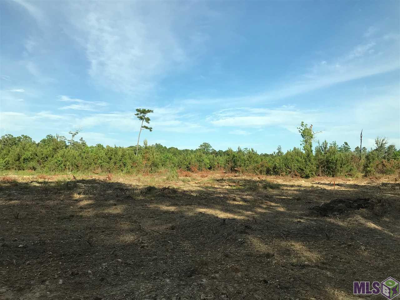 Lot 4 Church Branch Road Springfield, LA 70462 - Photo 8 of 14 Gallery Image 8