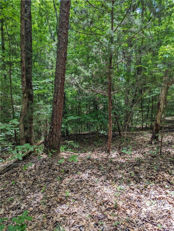 0 Turkey Creek Road Ware Shoals, SC 29692 - Photo 2 of 10