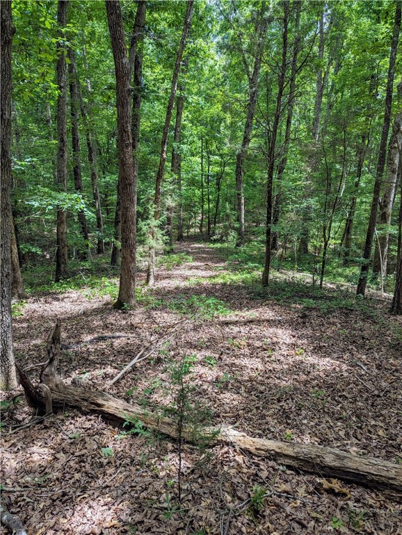 0 Turkey Creek Road Ware Shoals, SC 29692 - Photo 3 of 10