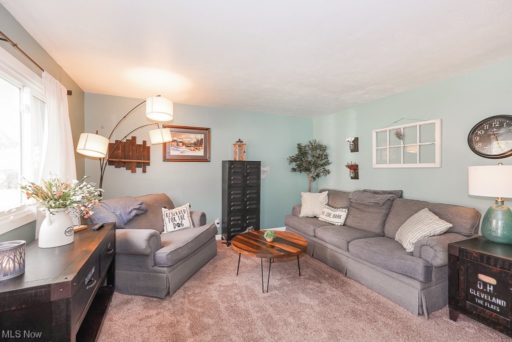 1127 Garden Road Willoughby, OH 44094 - Photo 5 of 33 Carpeted living room featuring plenty of natural light