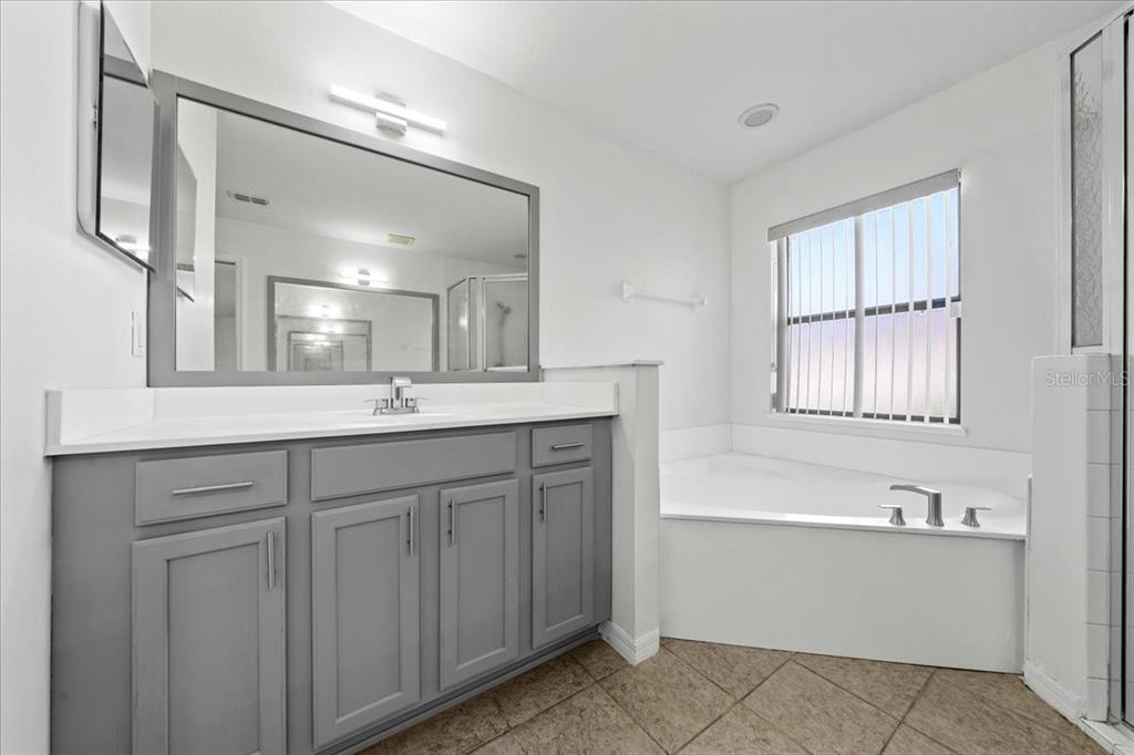 5659 Southwest 89th Place Ocala, FL 34476 - Photo 28 of 76 a bathroom with a sink vanity tub and a mirror