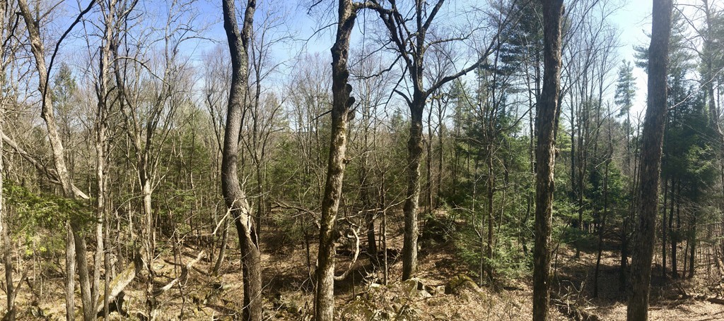 0 Mount Road Cummington, MA 01026 - Photo 5 of 22 Gallery Image 5