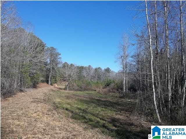 448 County Road, Unit 11 32 Clanton, AL 35046 - Photo 1 of 1