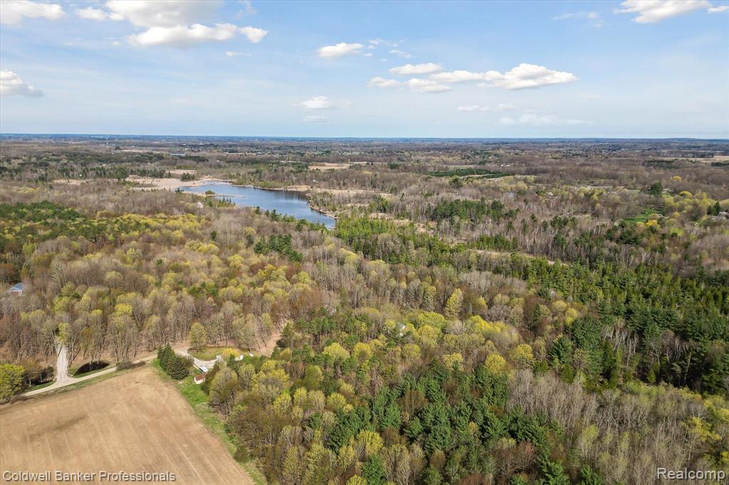 0 Conley Road Attica, MI 48412 - Photo 11 of 48 Gallery Image 11