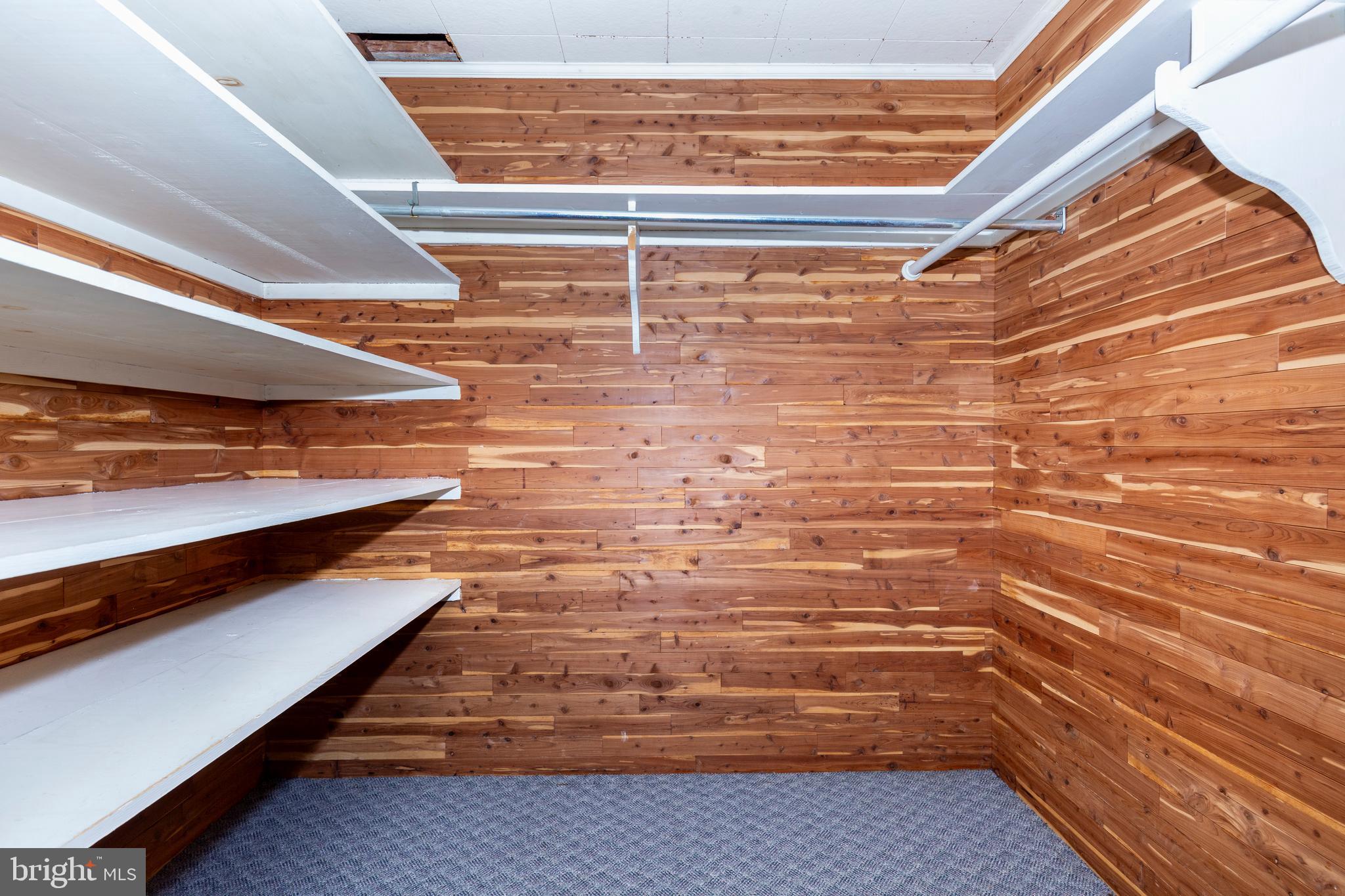101 Blue Ridge Avenue New Windsor, MD 21776 - Photo 19 of 38 Large cedar closet on main level!