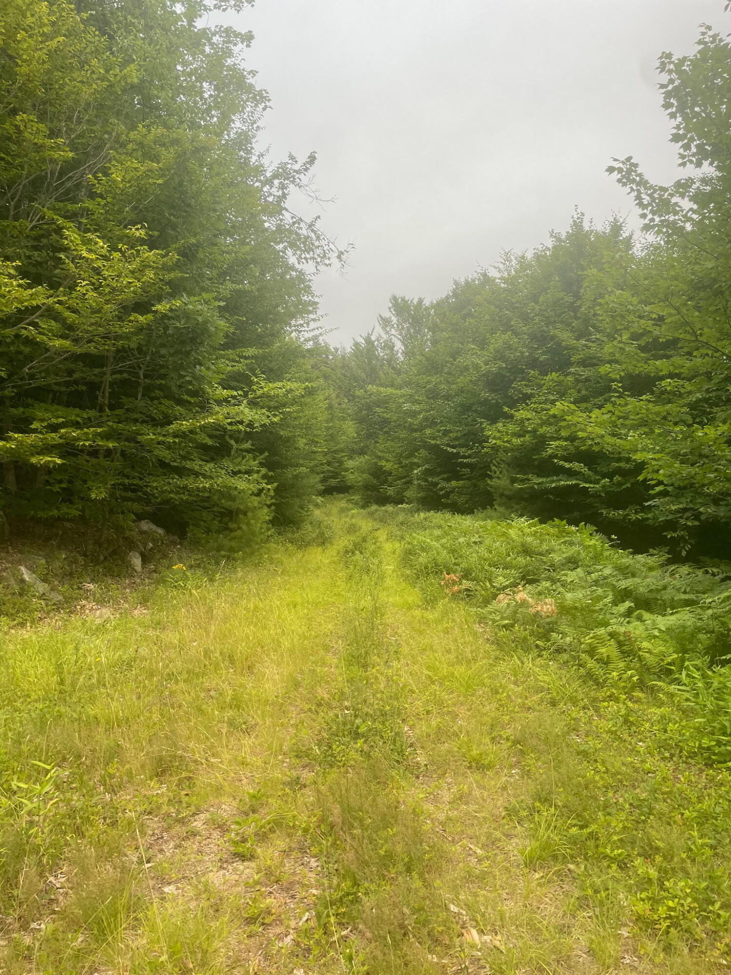 Lot 3 Allen Mountain Road Denmark, ME 04022 - Photo 10 of 11 4676