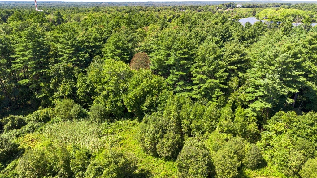 576 Faunce Corner Road Dartmouth, MA 02747 - Photo 14 of 19 a view of a garden