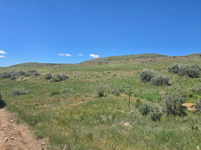8400 North Treasurton Road Preston, ID 83263 - Photo 6 of 13 Expansive undeveloped acreage featuring natural vegetation and rolling hills