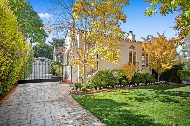 a view of a yard with plants and trees