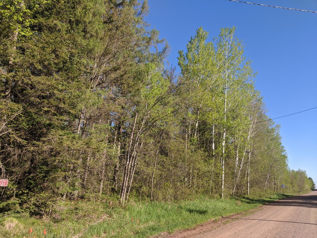 N2321 Hallstrand Road Prentice, WI 54556 - Photo 17 of 38 Gallery Image 17