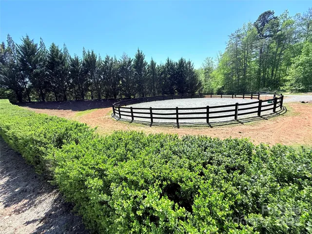 a view of a bench in the garden