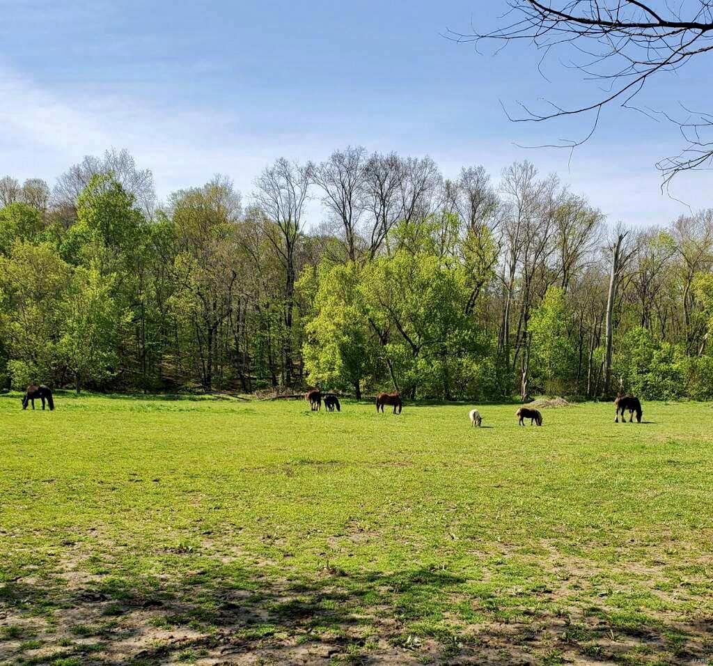 3001 Cedar Ridge Lane Waterloo, IL 62298 - Photo 44 of 50