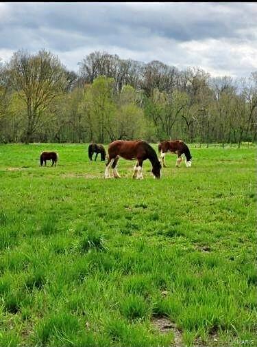 3001 Cedar Ridge Lane Waterloo, IL 62298 - Photo 46 of 50