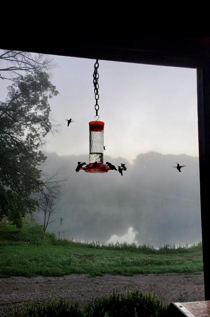 3001 Cedar Ridge Lane Waterloo, IL 62298 - Photo 8 of 50