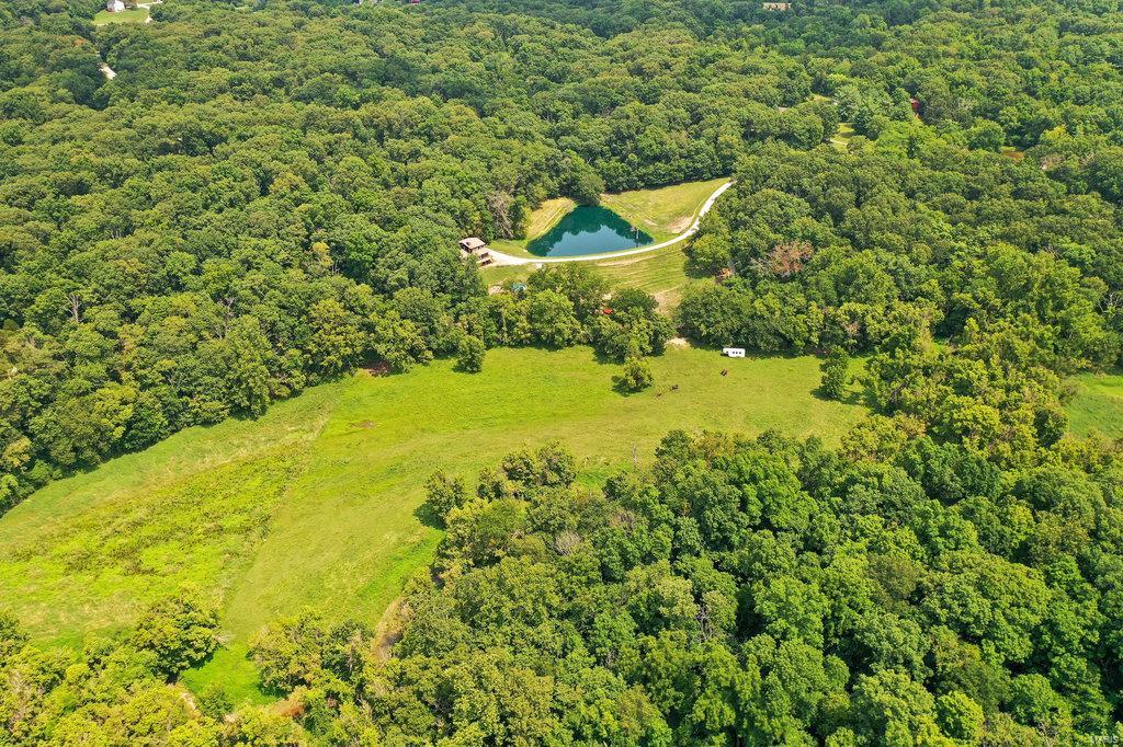 3001 Cedar Ridge Lane Waterloo, IL 62298 - Photo 10 of 50