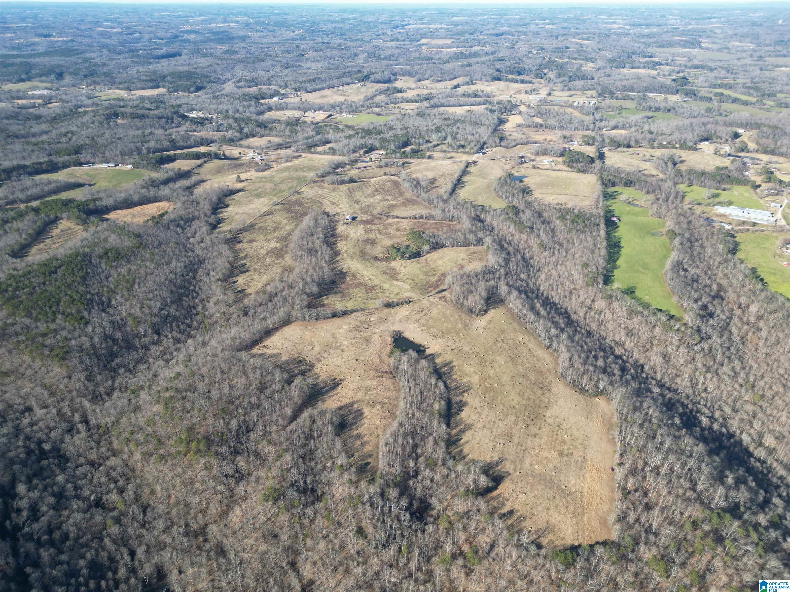 682 County Road 832 Logan, AL 35098 - Photo 17 of 48