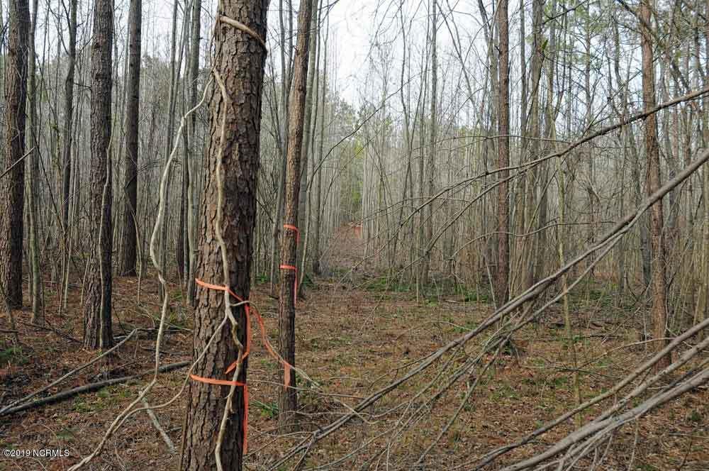 0 West Old Spring Hope Road Middlesex, NC 27557 - Photo 3 of 6 roy's2