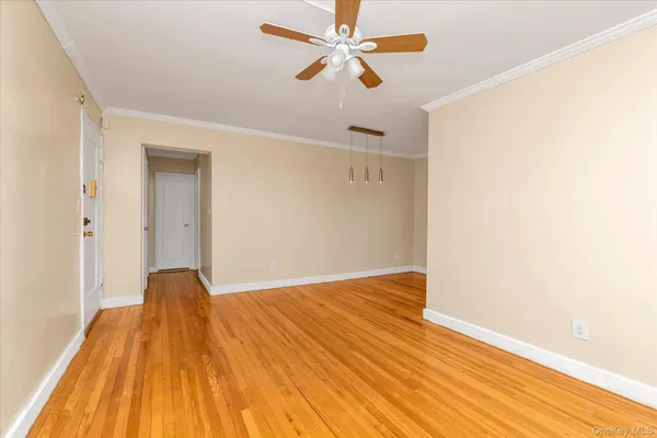 a view of a big room with wooden floor and closet