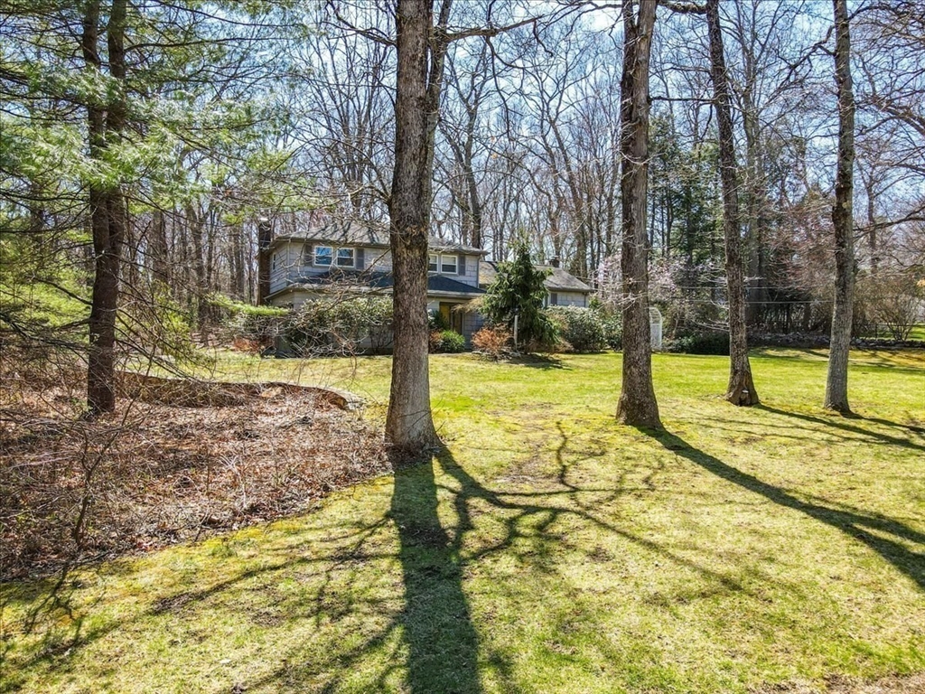 51 Saxon Road Westwood, MA 02090 - Photo 2 of 35 Gallery Image 2
