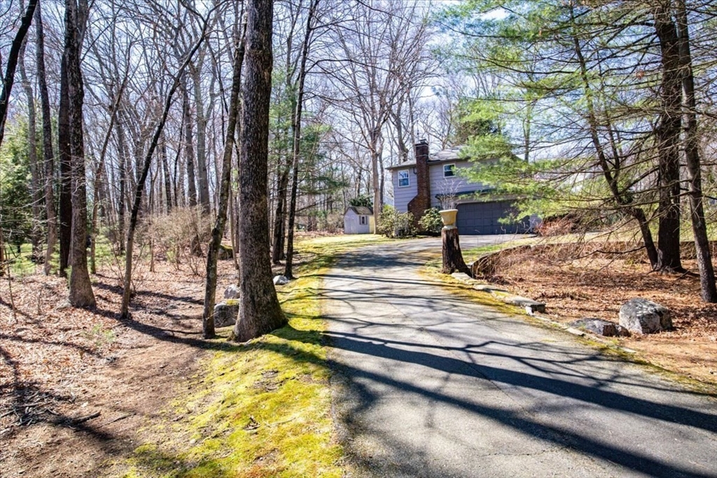 51 Saxon Road Westwood, MA 02090 - Photo 3 of 35 Gallery Image 3