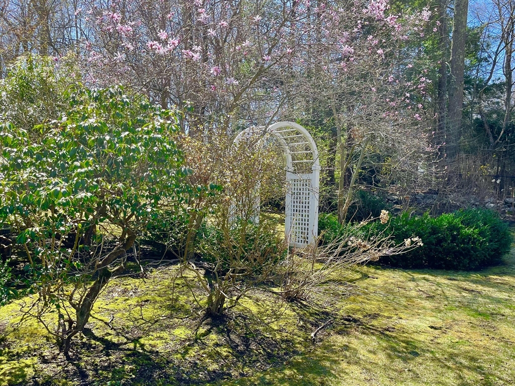 51 Saxon Road Westwood, MA 02090 - Photo 4 of 35 Gallery Image 4