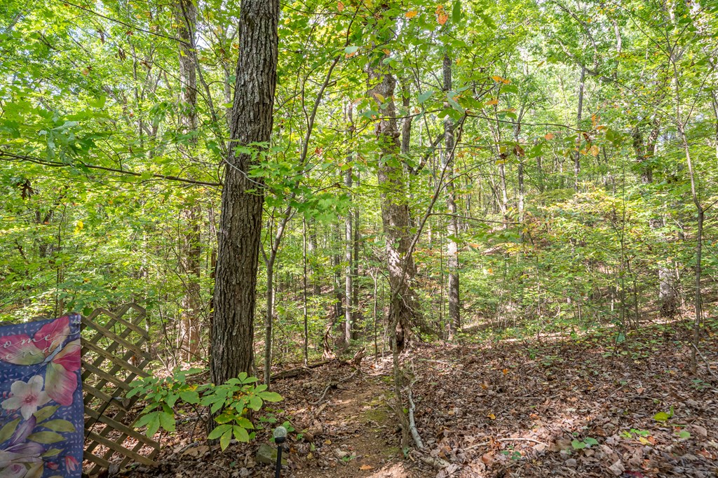 586 Log Round Mountain Road Talking Rock, GA 30175 - Photo 32 of 39 Gallery Image 32