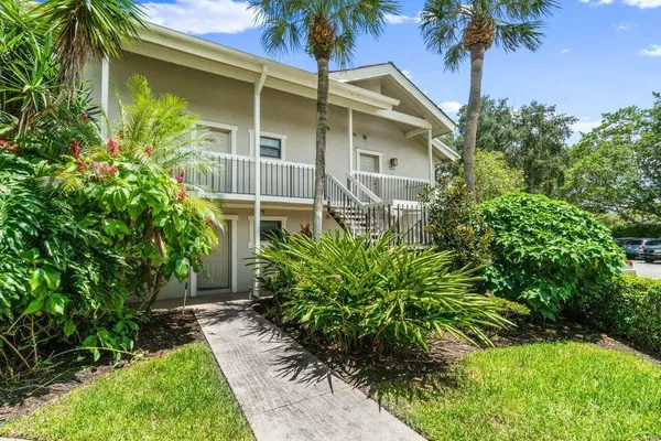 a house that has a tree in front of the house