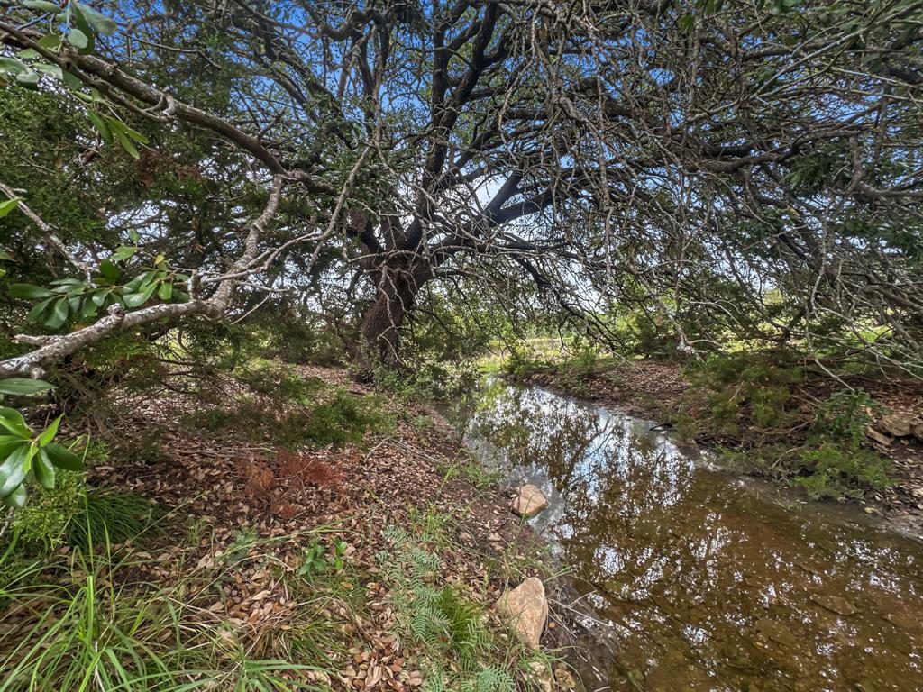 281 Highway 281, Unit O281S Evant, TX 76525 - Photo 13 of 37 View of nature