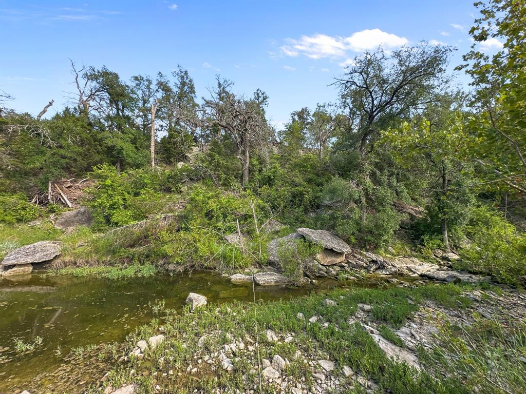 281 Highway 281, Unit O281S Evant, TX 76525 - Photo 14 of 37 View of local wilderness