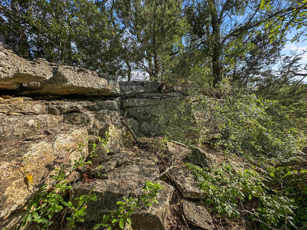 281 Highway 281, Unit O281S Evant, TX 76525 - Photo 18 of 36 View of local wilderness