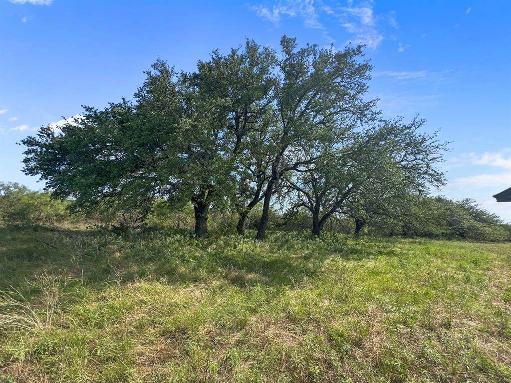 281 Highway 281, Unit O281S Evant, TX 76525 - Photo 24 of 36 View of local wilderness