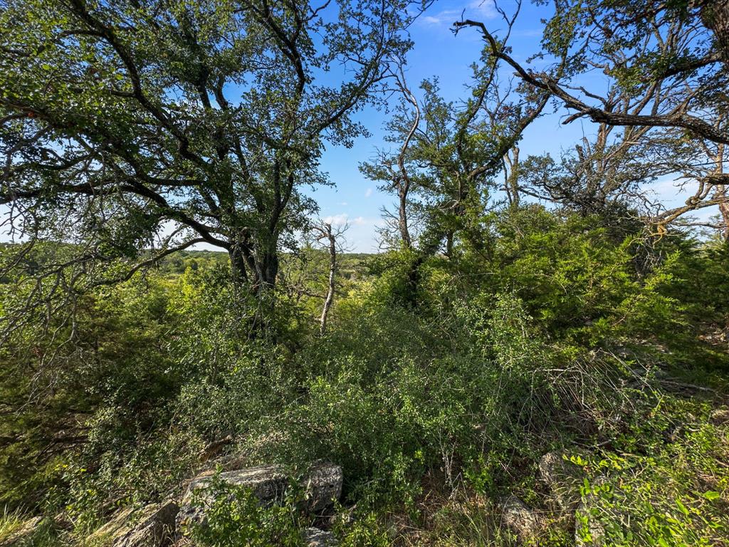 281 Highway 281, Unit O281S Evant, TX 76525 - Photo 28 of 37 View of woods